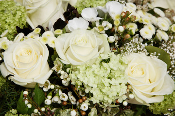 White Wedding Roses
