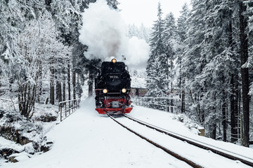 Harzer Schmalspurbahn im Winter durch den Wald