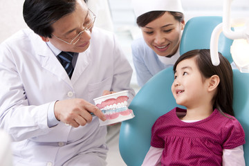 Obraz premium Dentist teaching the right way of brushing teeth