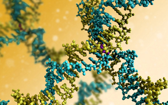 DNA close-up, DNA Molecule Model, DNA Strands, DNA structure