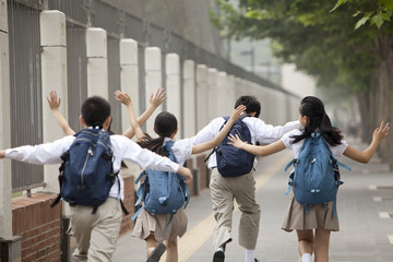 Rear view of lively schoolchildren in uniform on the way to school