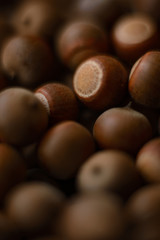 A group of acorns.