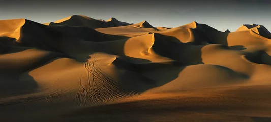 Crédence de cuisine en verre imprimé Sécheresse dunes de sable