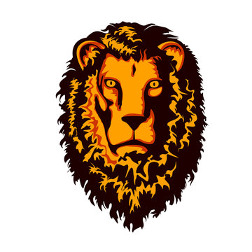 Head of Lion