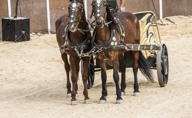 gladiator fights in the arena of the Roman circus, representatio