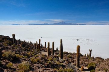 Isla Incahuasi (Pescadores), Salar de Uyuni, Bolivia