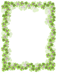 A floral arrangement with Iron Cross (Oxalis deppei) sometimes called 4-leaved clover