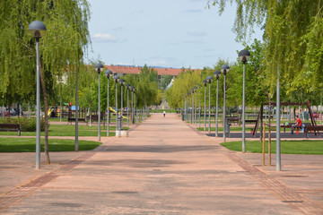 Obraz premium parque en la ciudad de Logroño
