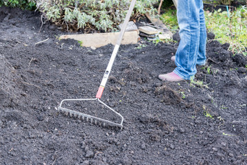 Work in the garden