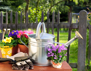 Frühlingsblüher und Gießkanne im Garten