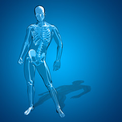 Concept or conceptual 3D human man skeleton anatomy