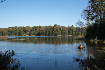 Autumn, lake view and camping in Quebec, Canada