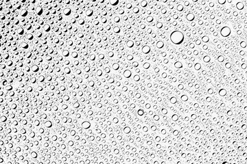 Water drops on transparent glass background.