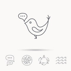 Fototapeta na wymiar Bird with speech bubble icon. Short messages.