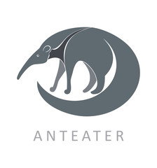 Anteater. Vector illustration.