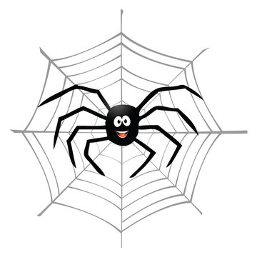 cartoon vector illustration of a spider and spiderweb
