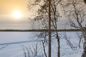Fototapeta na wymiar Snowfield with bare trees during sunrise