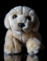 Плюшевый щенок на чёрном фоне