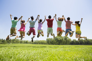 Cheerful young adults holding hands jumping on grass