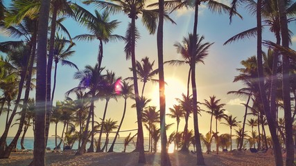 Beautiful sunrise and palm trees, beach in Punta Cana, Dominican Republic