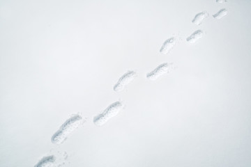 Fototapeta premium Shoe prints in fresh snow on snowy city street.