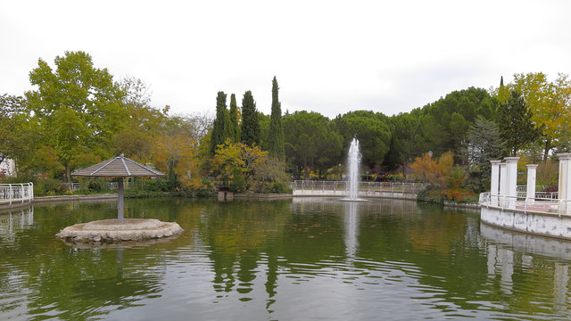 pond in the city