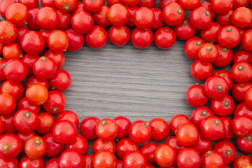 Corozo fruta tropical.