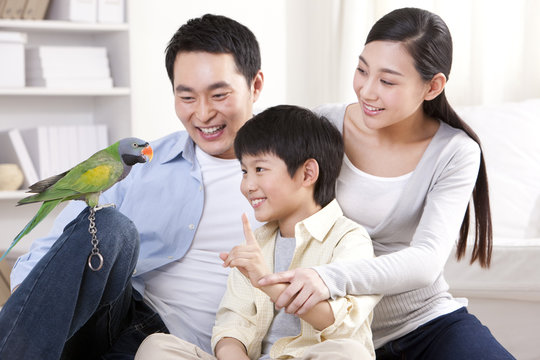Family playing with a pet parrot
