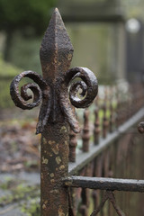 spear point fleur de lis corner of rusty fence - 99578948