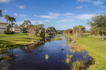 Sainte Lucie Florida pond
