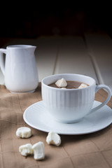 Obraz na płótnie Canvas Cocoa drink with marshmallows