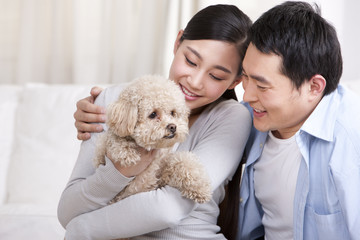 Young couple playing with a pet toy poodle
