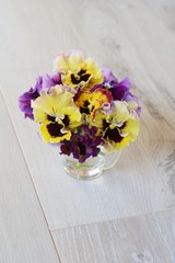 パンジー　ムーランフリルのアレンジ