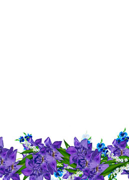 Blue iris flower isolated on white background. Holiday card