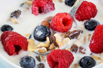 Macroaufnahme eines Fruchtmüsli in Milch. Mit Himbeeren, Heidelbeeren, Rosinen und Getreideflocken.