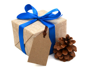 Gift wrapped blue ribbon