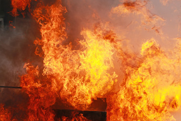 Obraz premium burning fire flame