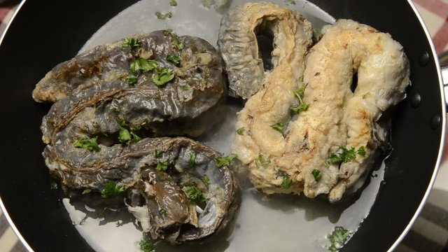 Anguilla europea Europeisk &aring;l Anguilla marinata Rečna jegulja Capitone Речной угорь 歐洲鰻鱺 &Uacute;hor eur&oacute;psky Węgorz europejski Anghilă europeană Anguille d'Europe eel Eur&oacute;pai angolna צלופח אירופי 