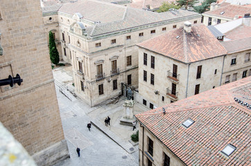 Fototapeta premium SALAMANCA CATEDRAL