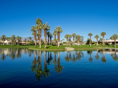 Water feature on a golf course in Palm Desert.