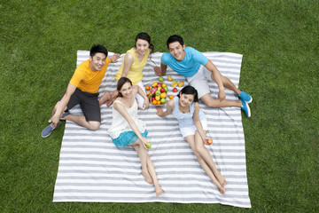 young people having picnic on meadow