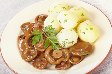 Pickled orange mushrooms with boiled potatoes