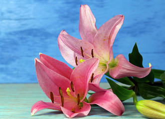 Two pink large Lilies, selective focus.
