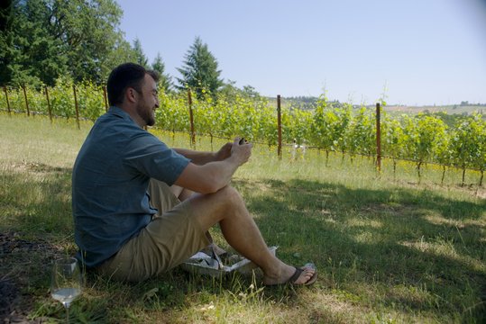 Man holding a sandwich, enjoying his lunch looking at a vineyard.