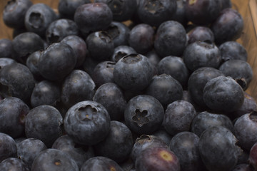 Blueberries