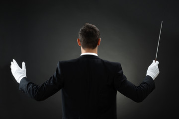 Rear View Of Music Conductor Holding Baton © Andrey Popov