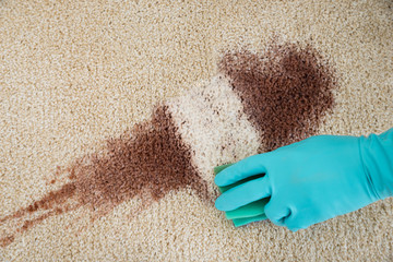 Hand Cleaning Red Wine Fallen On Rug