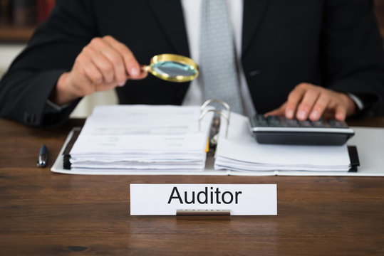 Auditor Scrutinizing Financial Documents In Office