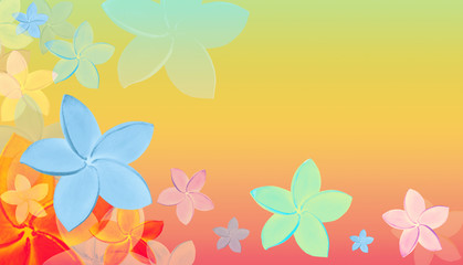 colourful pattern design tropical flowers background with summer