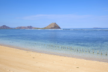Fototapeta na wymiar Tropical beach and clean ocean water. 